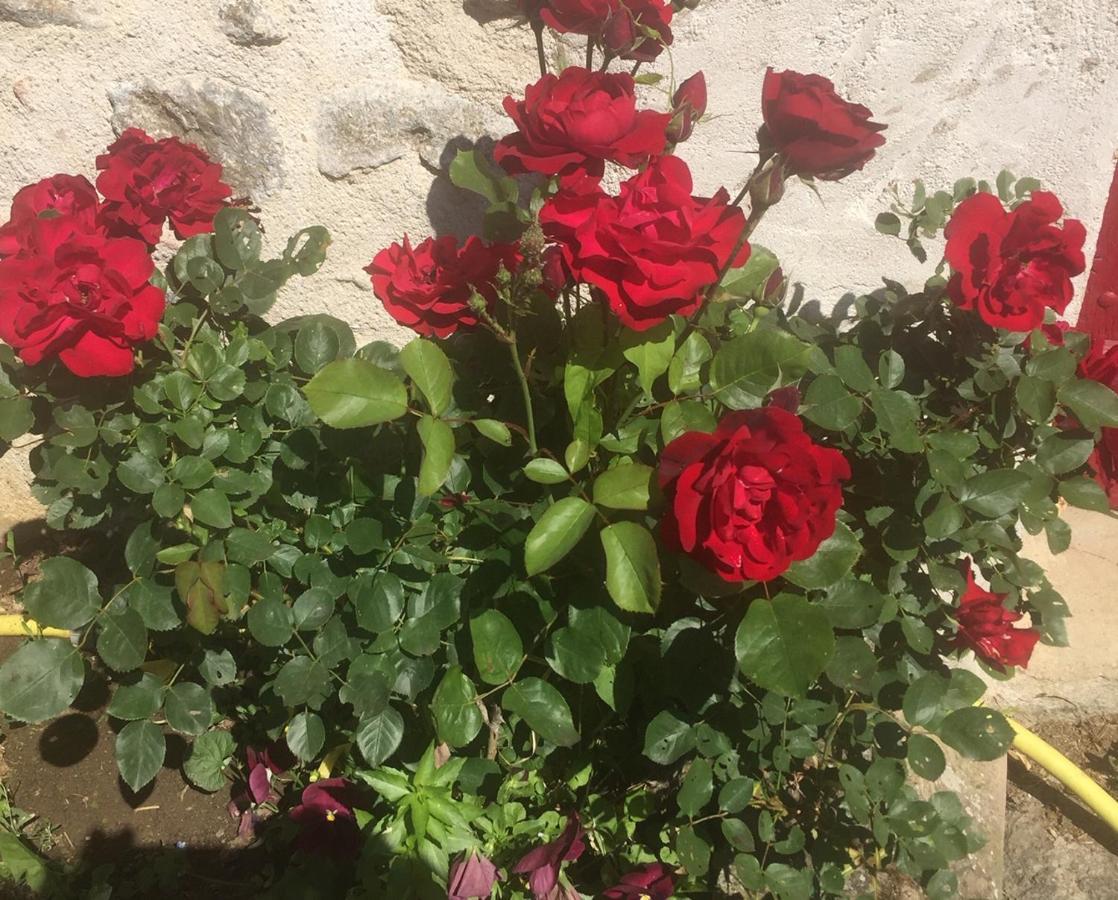 Les Maitres Sonneurs Bed & Breakfast Huriel Exterior foto